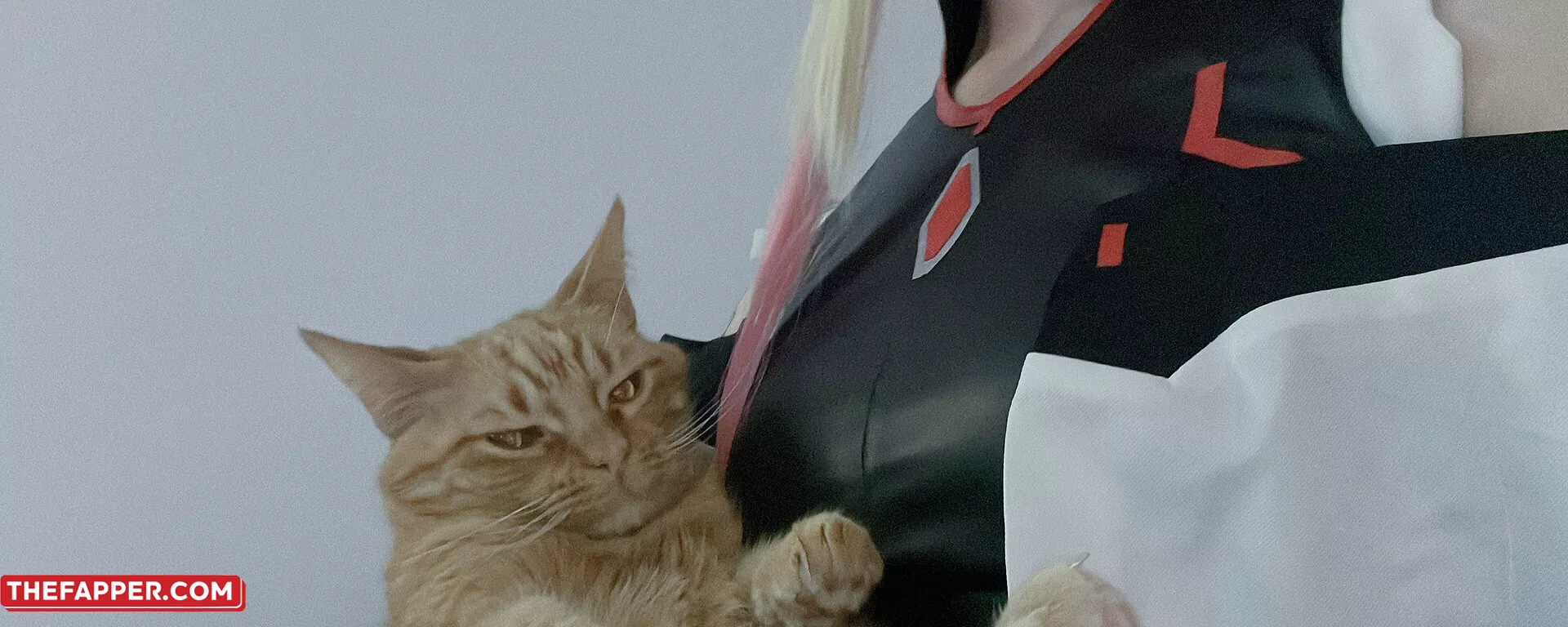 Reitoozaru  Onlyfans Leaked Nude Image #80EYt7o969