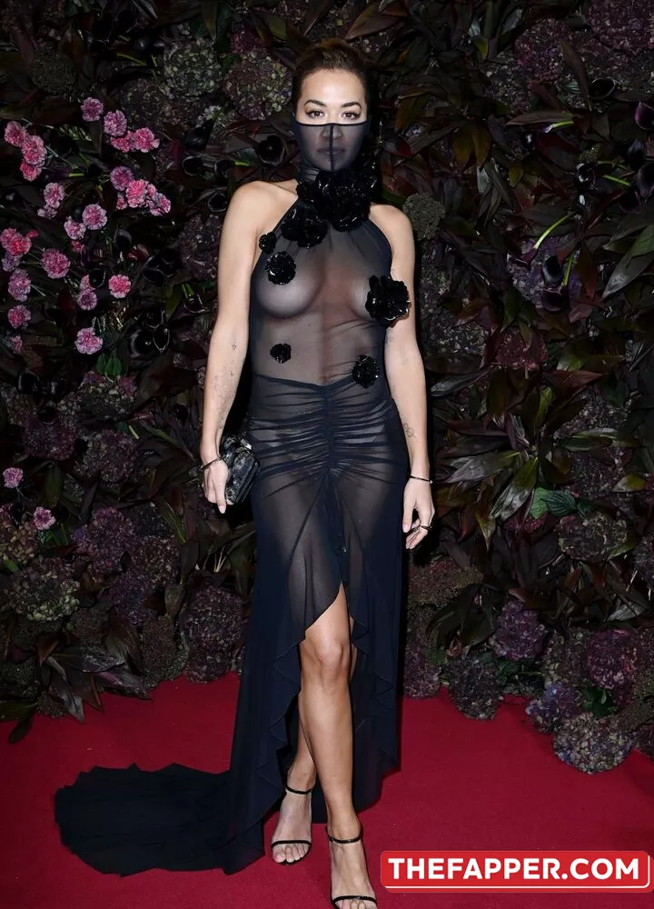 Rita Ora  Onlyfans Leaked Nude Image #0hwgwpAPDv