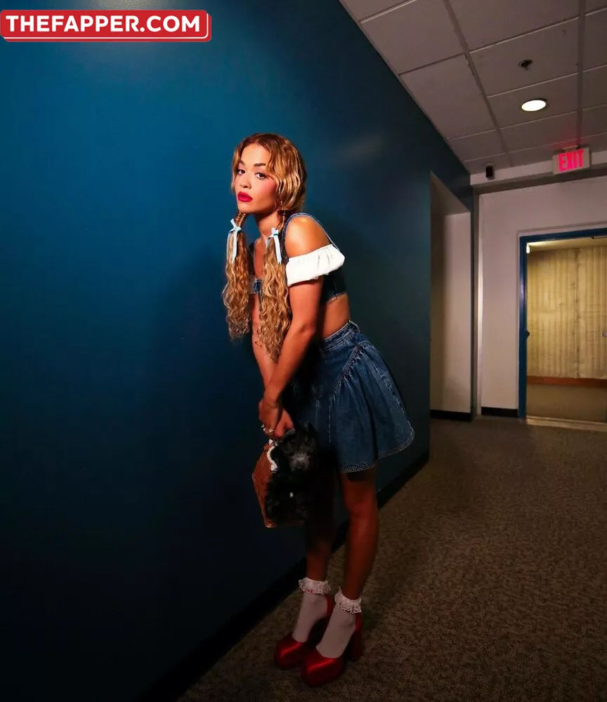 Rita Ora  Onlyfans Leaked Nude Image #AMdRxpUFfV