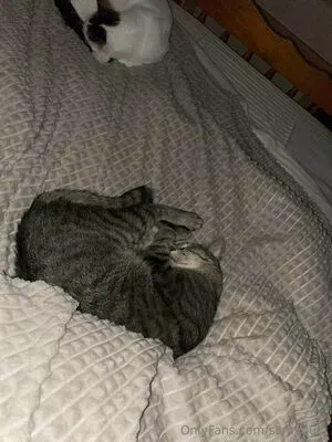 Samyquin Onlyfans Leaked Nude Image #ntyL5fU8oN