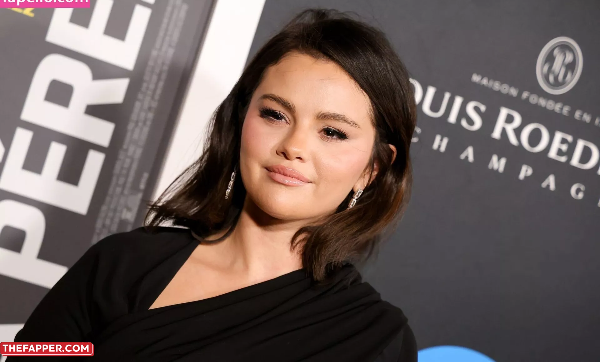 Selena Gomez  Onlyfans Leaked Nude Image #35QYK1hrll