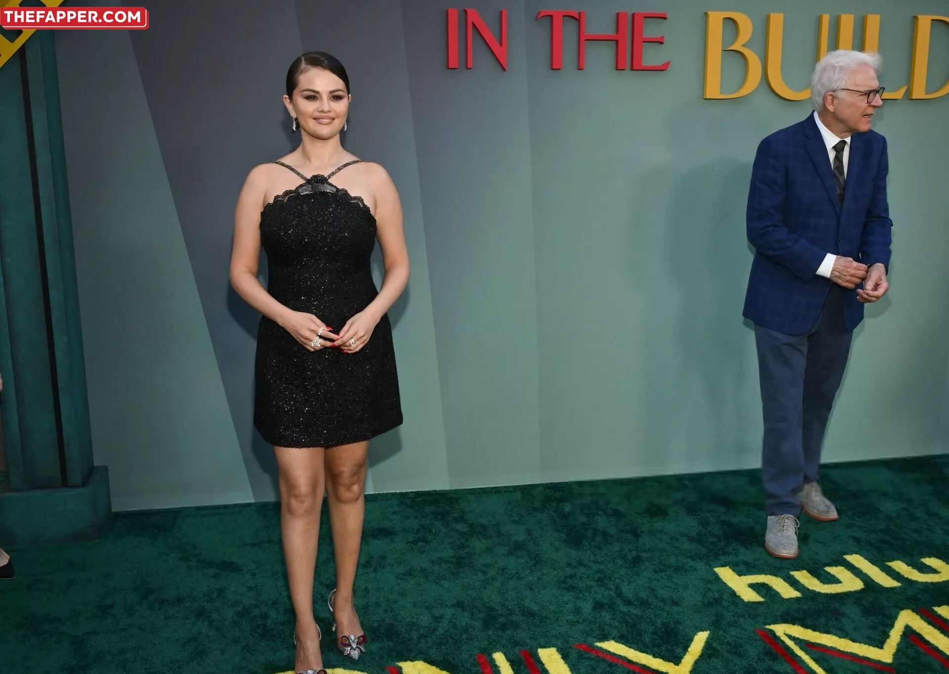 Selena Gomez  Onlyfans Leaked Nude Image #4qDP0THjkK