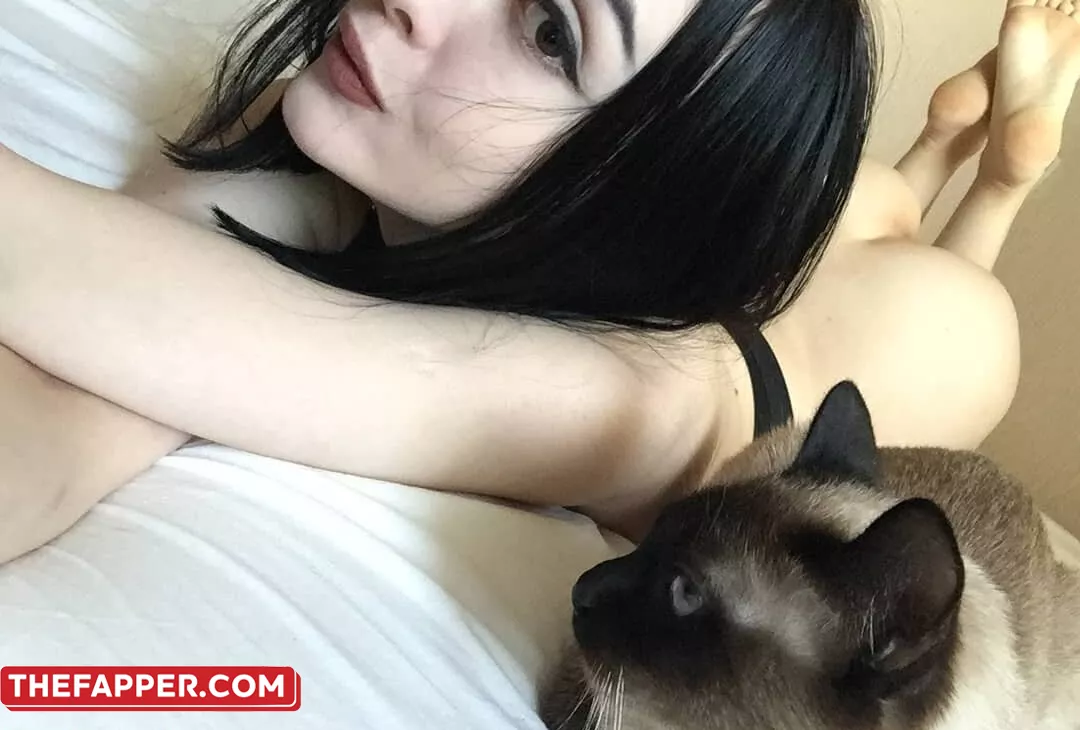 Shadowshine5  Onlyfans Leaked Nude Image #GyabX1gteP