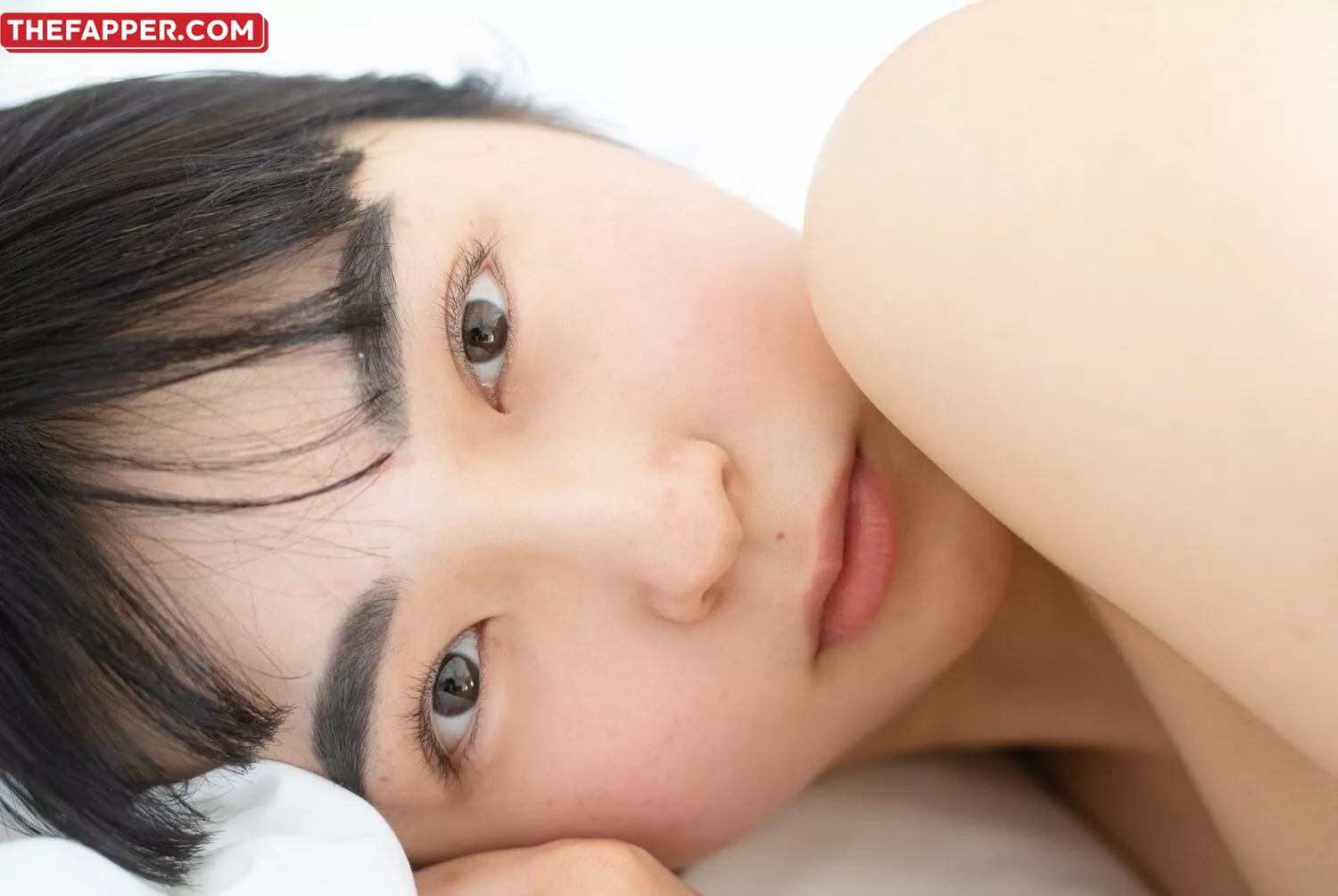 Shoujo Raisan  Onlyfans Leaked Nude Image #EXVcESGCBT