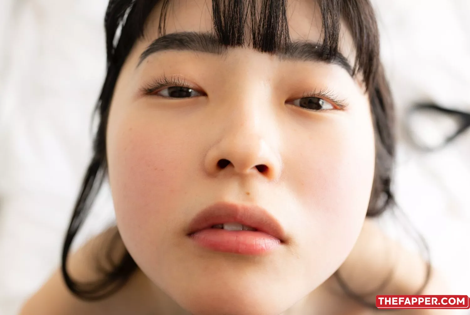 Shoujo Raisan  Onlyfans Leaked Nude Image #H8vgmN6l44