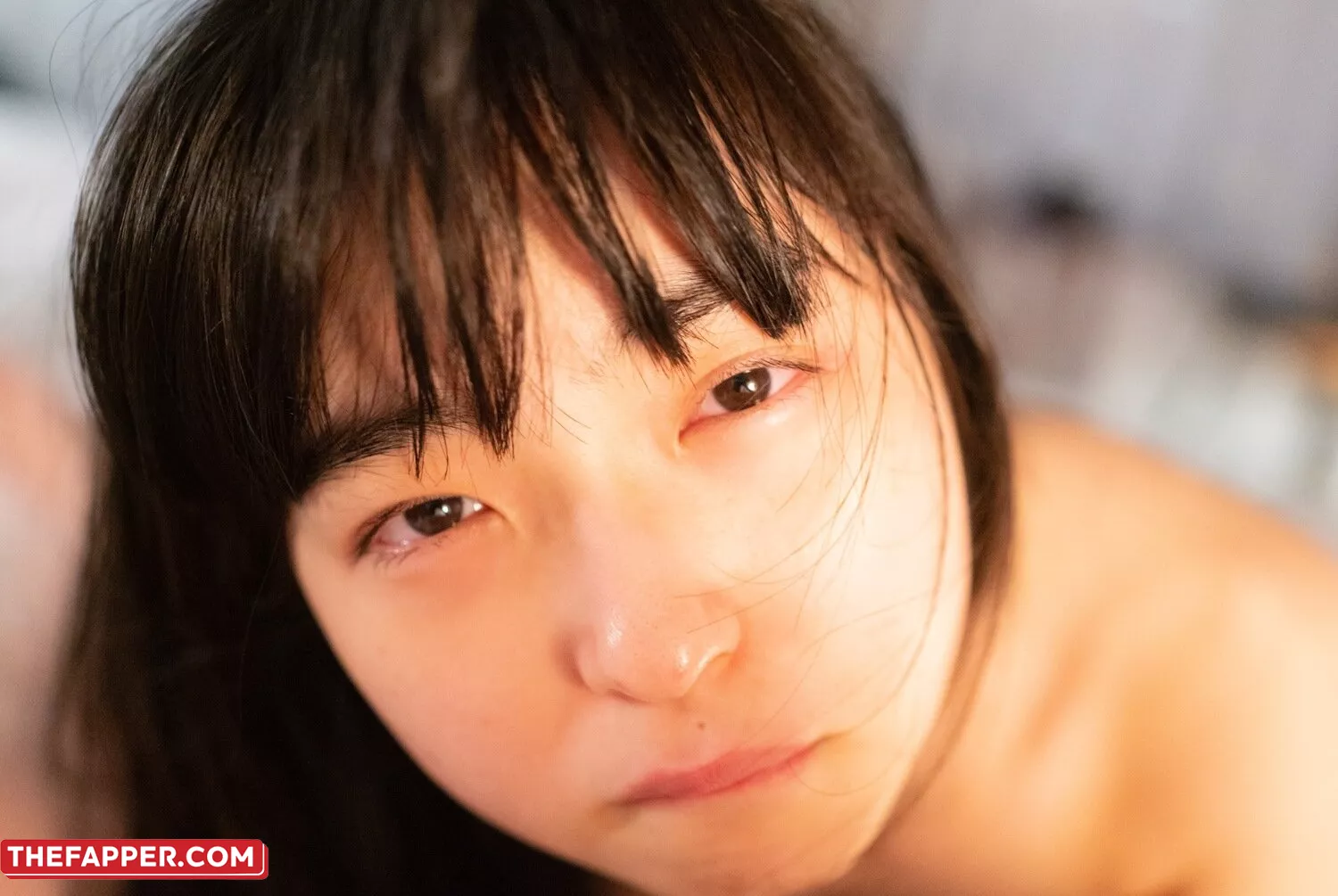 Shoujo Raisan  Onlyfans Leaked Nude Image #mMaphx6pjZ