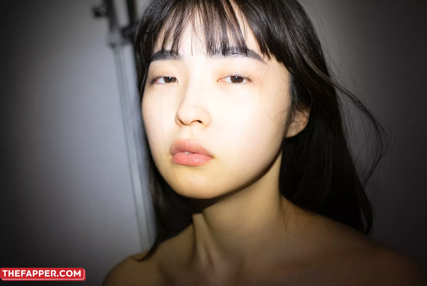 Shoujo Raisan  Onlyfans Leaked Nude Image #mdWzEjJfhB