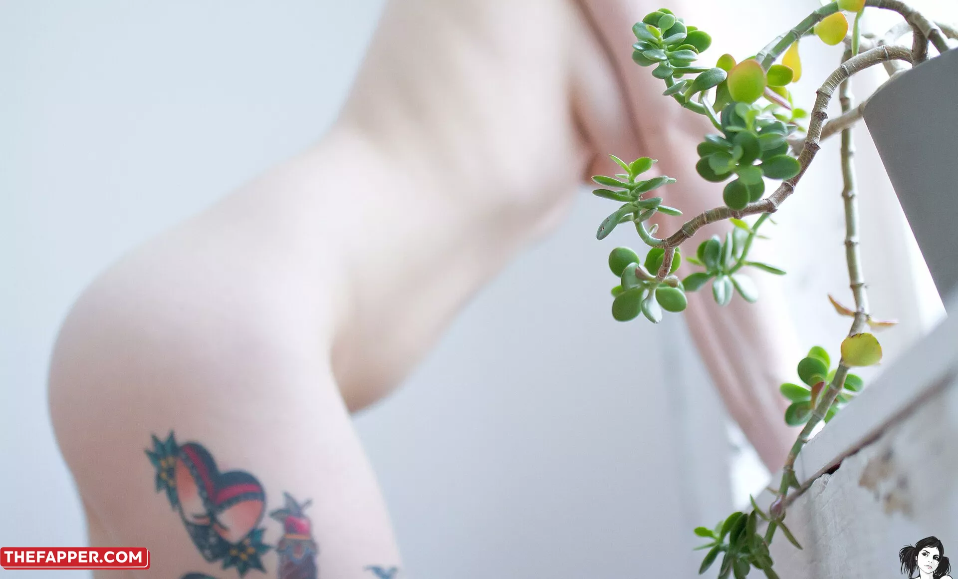 Skellaborealis  Onlyfans Leaked Nude Image #E5nPDZr680