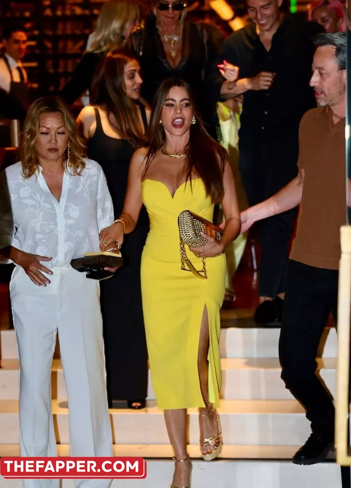 Sofia Vergara  Onlyfans Leaked Nude Image #FehZEoBoP5