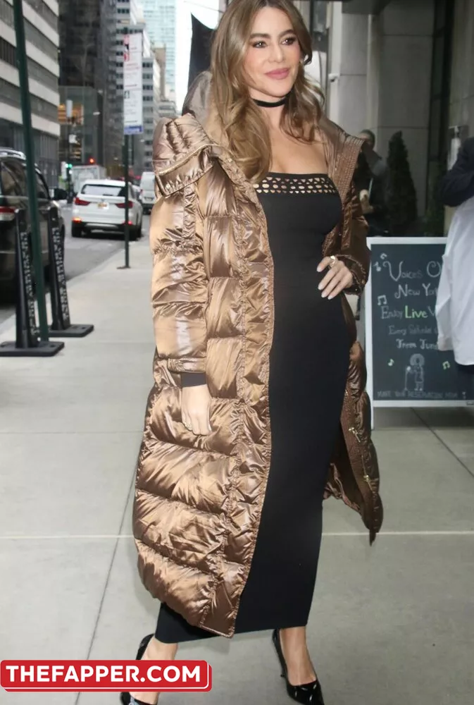 Sofia Vergara  Onlyfans Leaked Nude Image #VKcqGDGNTq