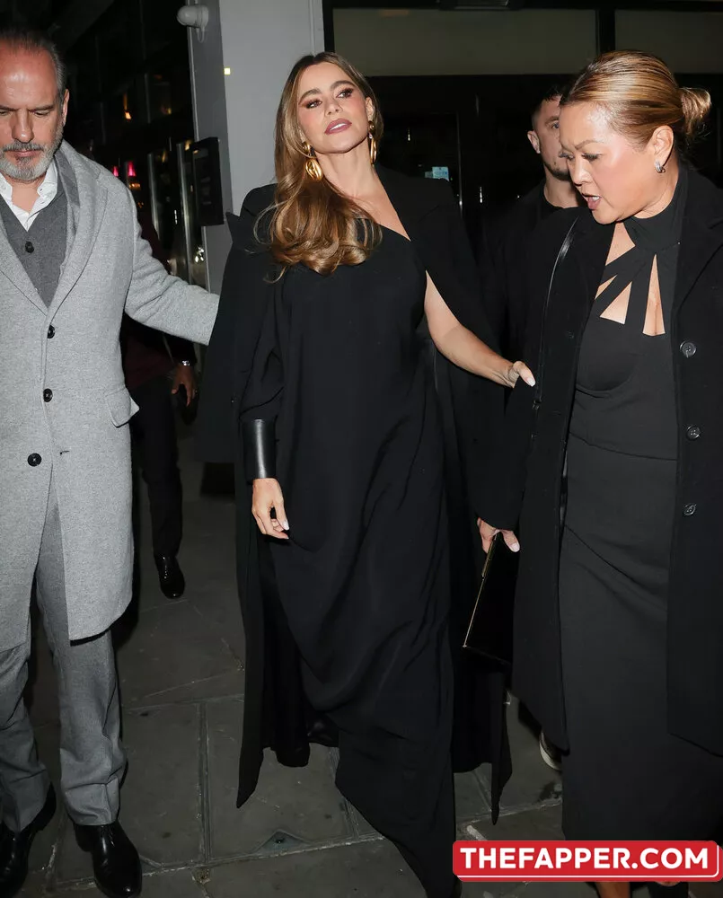 Sofia Vergara  Onlyfans Leaked Nude Image #XStSwwr1HM