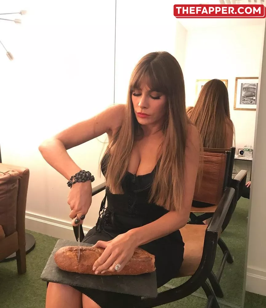 Sofia Vergara  Onlyfans Leaked Nude Image #b25CC2KB2H