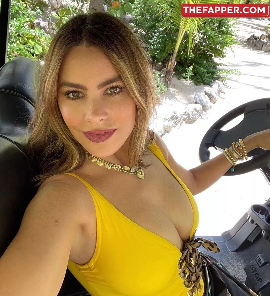 Sofia Vergara  Onlyfans Leaked Nude Image #jB71oW71fc