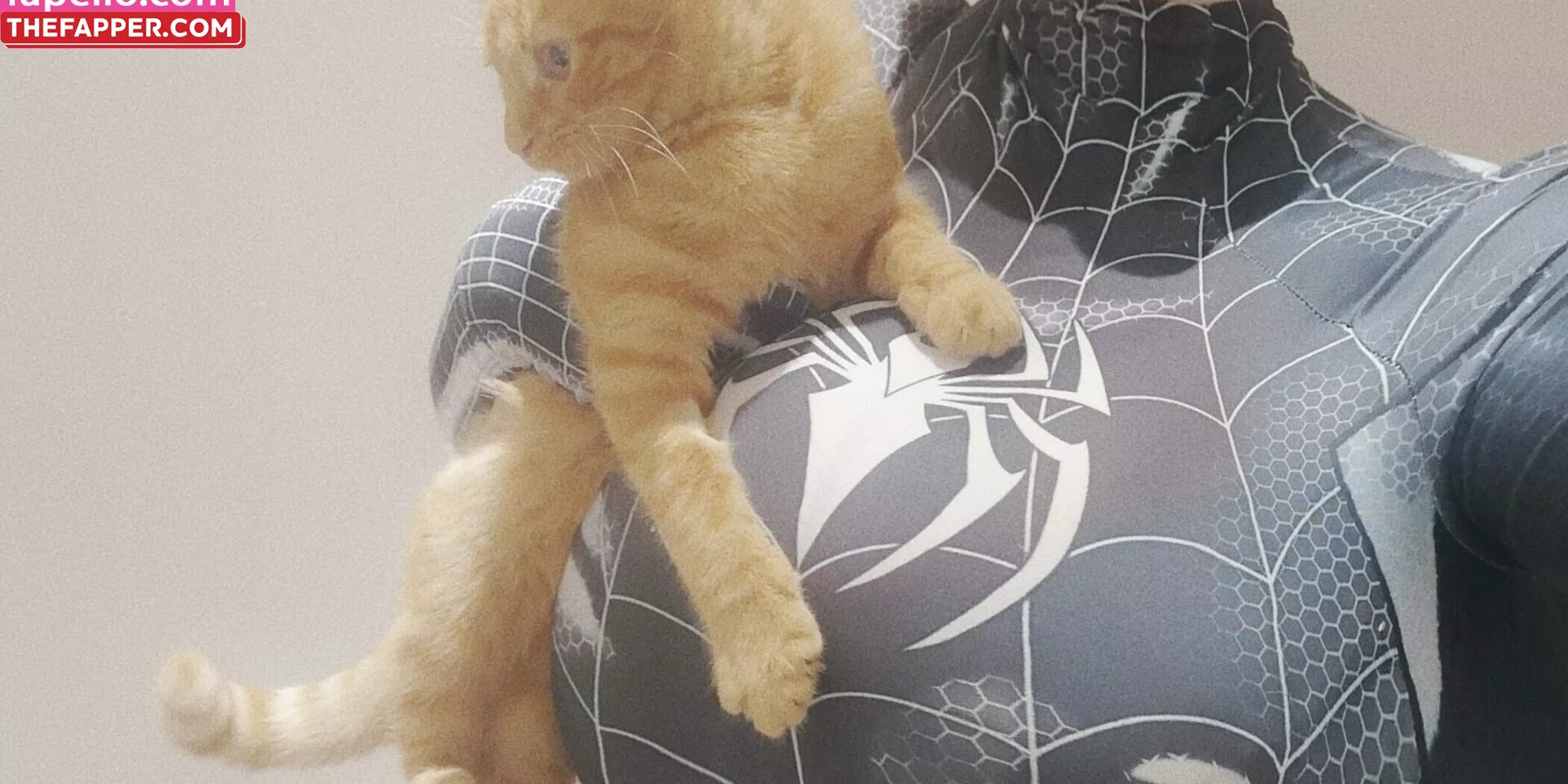 Soft_kittn  Onlyfans Leaked Nude Image #RHJajWB8we