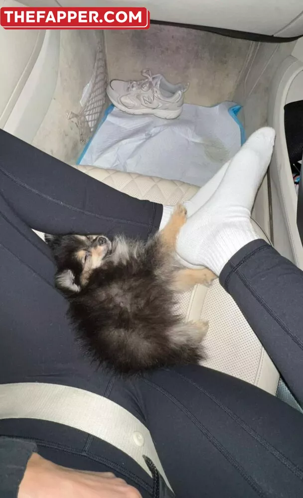 Sssniperwolf  Onlyfans Leaked Nude Image #8cowEaPSUm