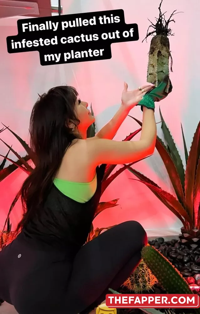 Sssniperwolf  Onlyfans Leaked Nude Image #nZbQu6QdxS