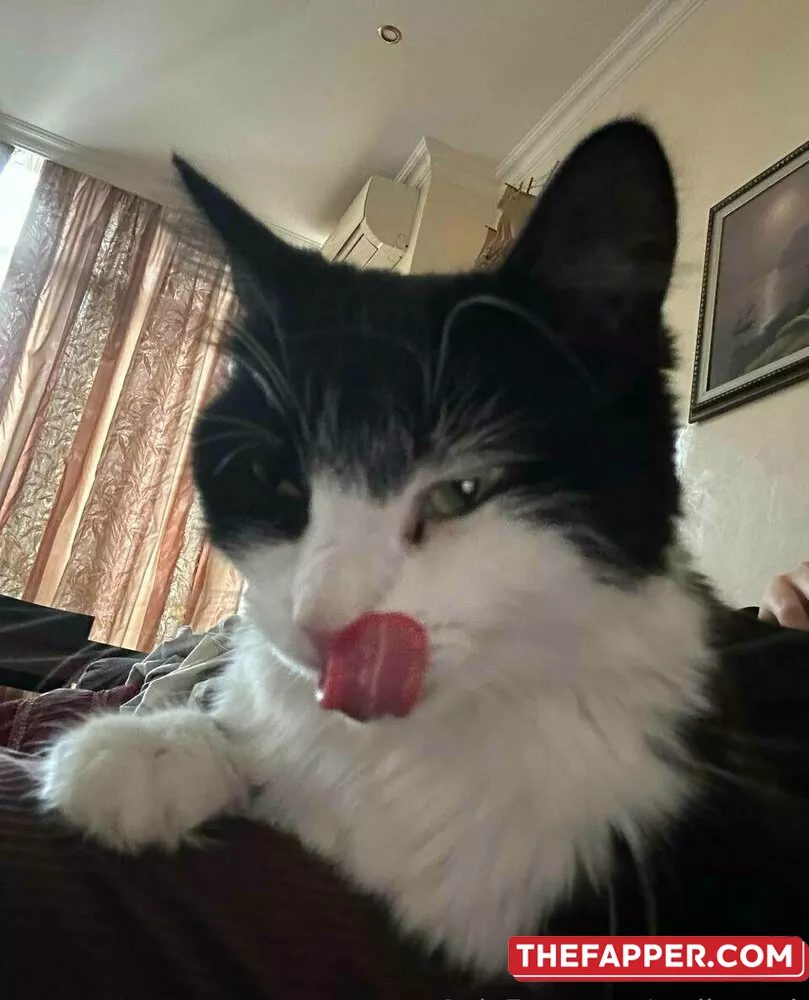 Stellamori  Onlyfans Leaked Nude Image #wA1GKd86HI