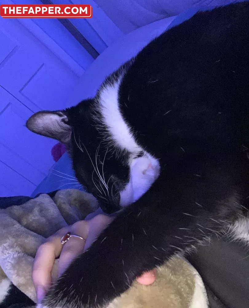 Sugarsasha  Onlyfans Leaked Nude Image #I8AKxEvmQg