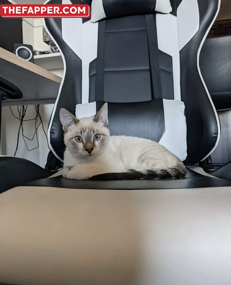 Sweet_nymph  Onlyfans Leaked Nude Image #afakuWnnGm