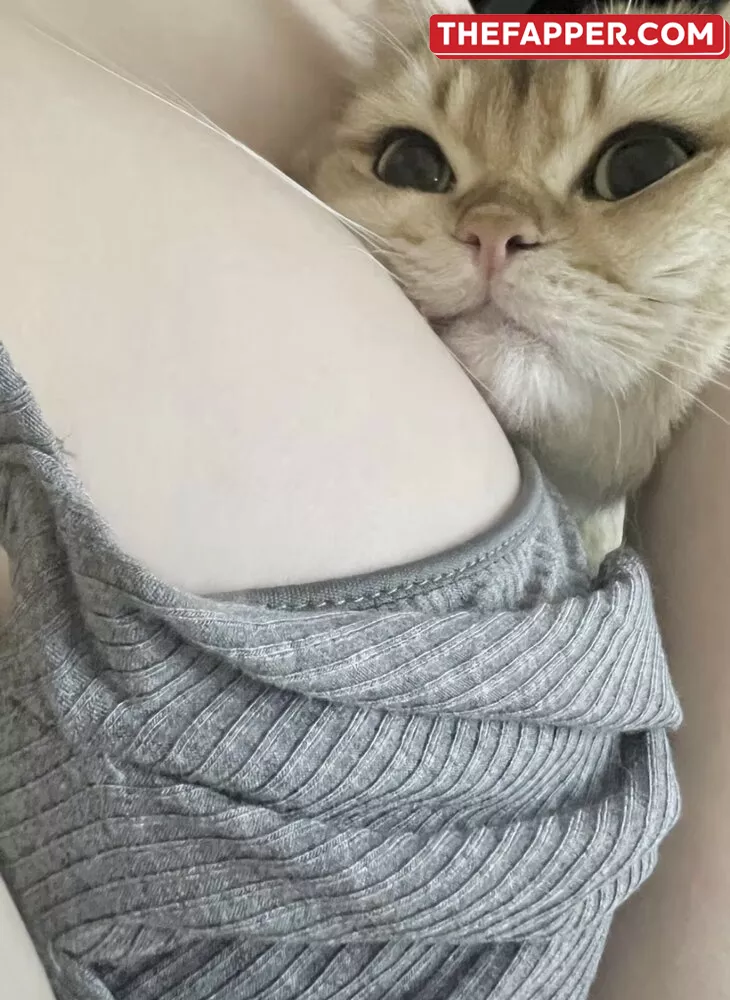 Takomayuyi  Onlyfans Leaked Nude Image #0okB3yDOML