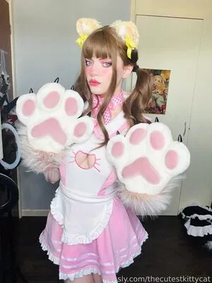Thecutestkittycat #RsWOe6gyko