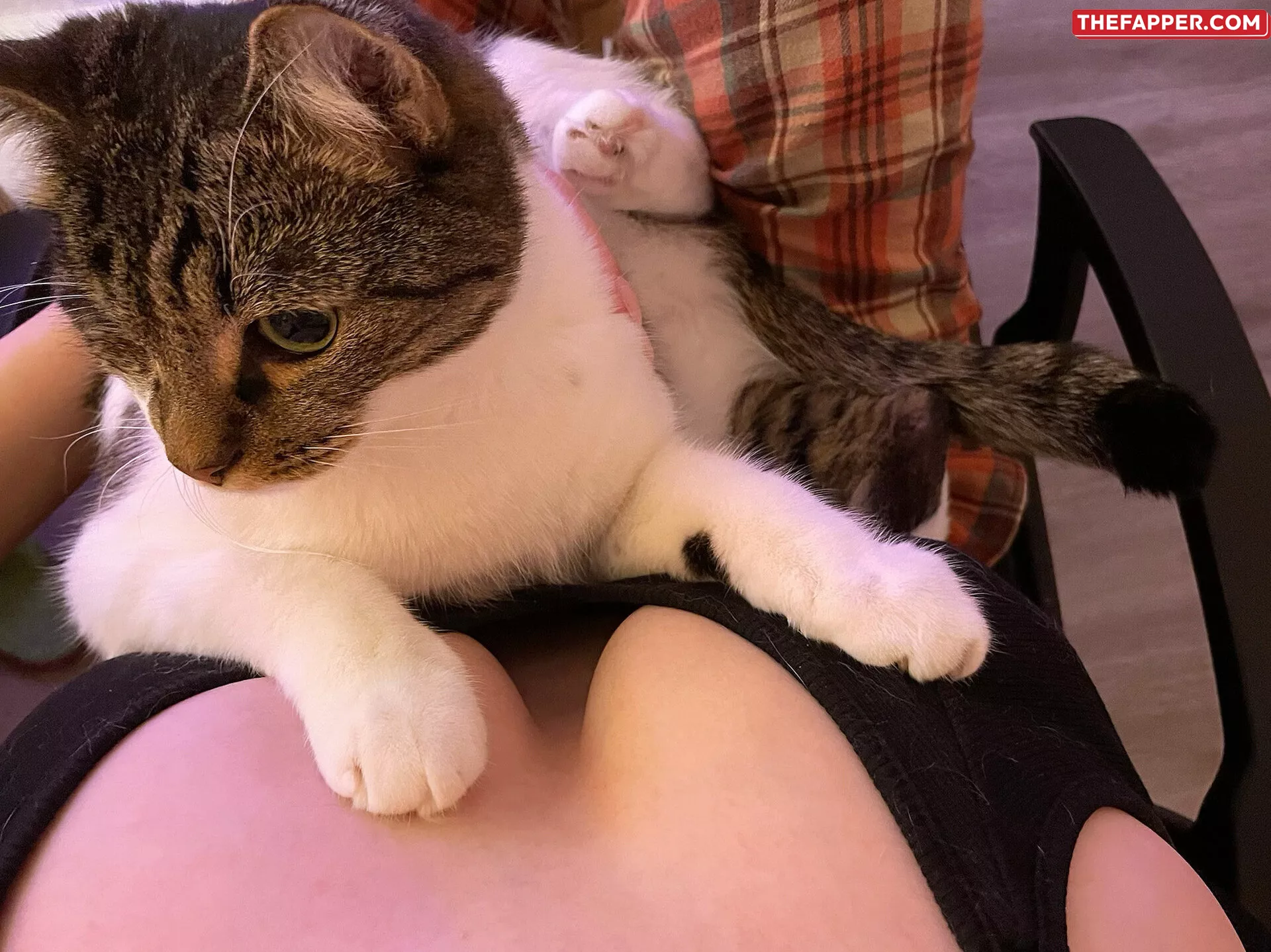 Tniwe  Onlyfans Leaked Nude Image #VVYHOHQlmZ