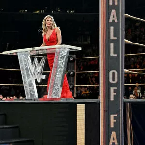 Torrie Wilson #LTaujg419e