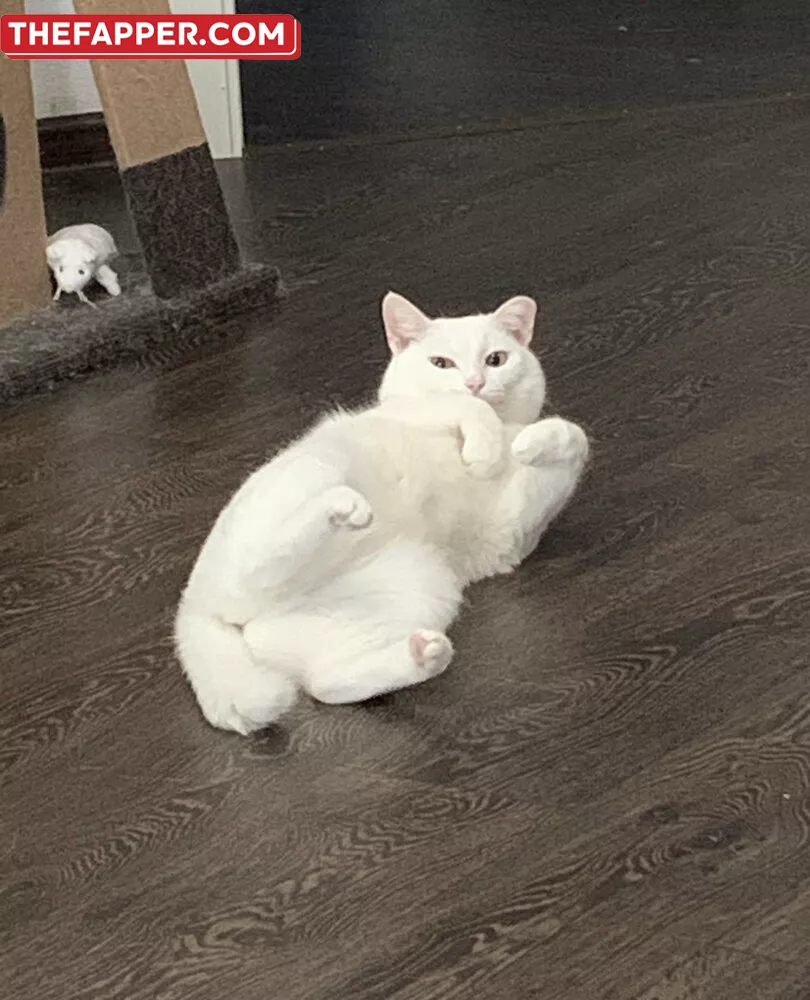 Tsunderebean  Onlyfans Leaked Nude Image #cFaIcqEL1h
