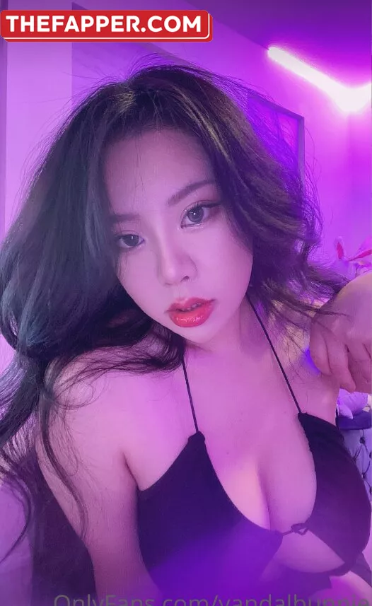 Vandalbunnie  Onlyfans Leaked Nude Image #YtoeGSnMld