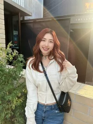 Xchocobars #XzVWPSchXR