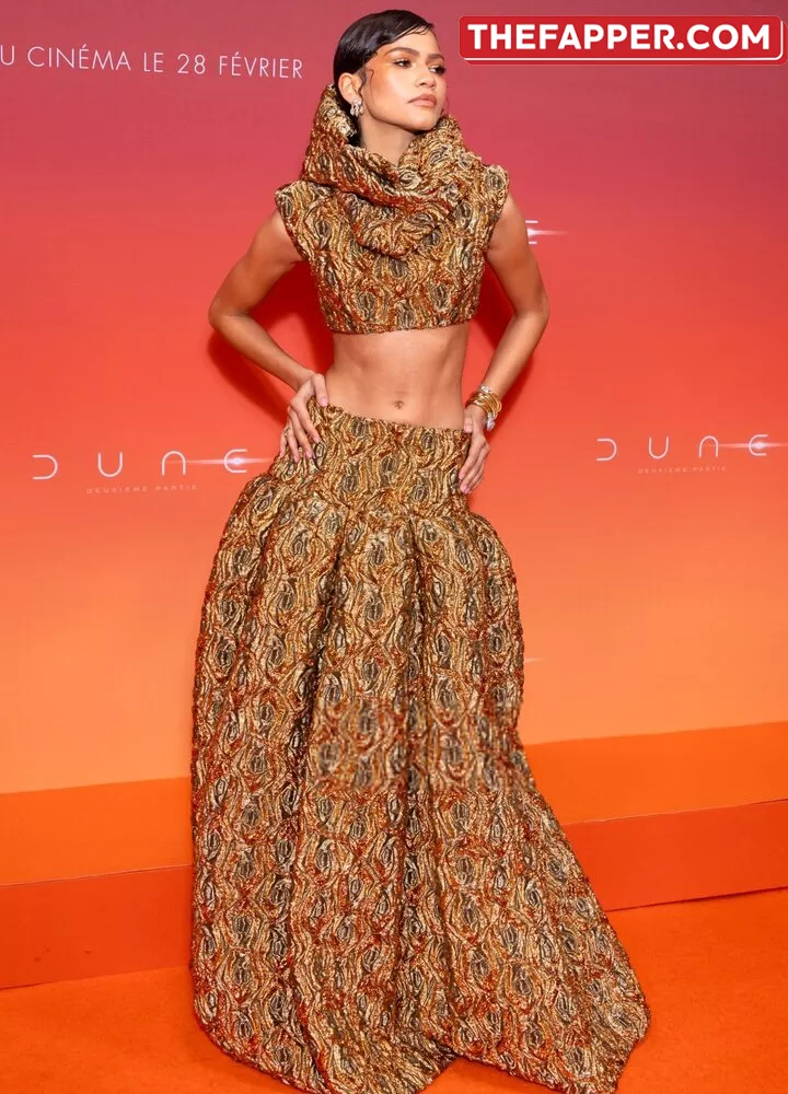 Zendaya  Onlyfans Leaked Nude Image #1sTDLEgDMP