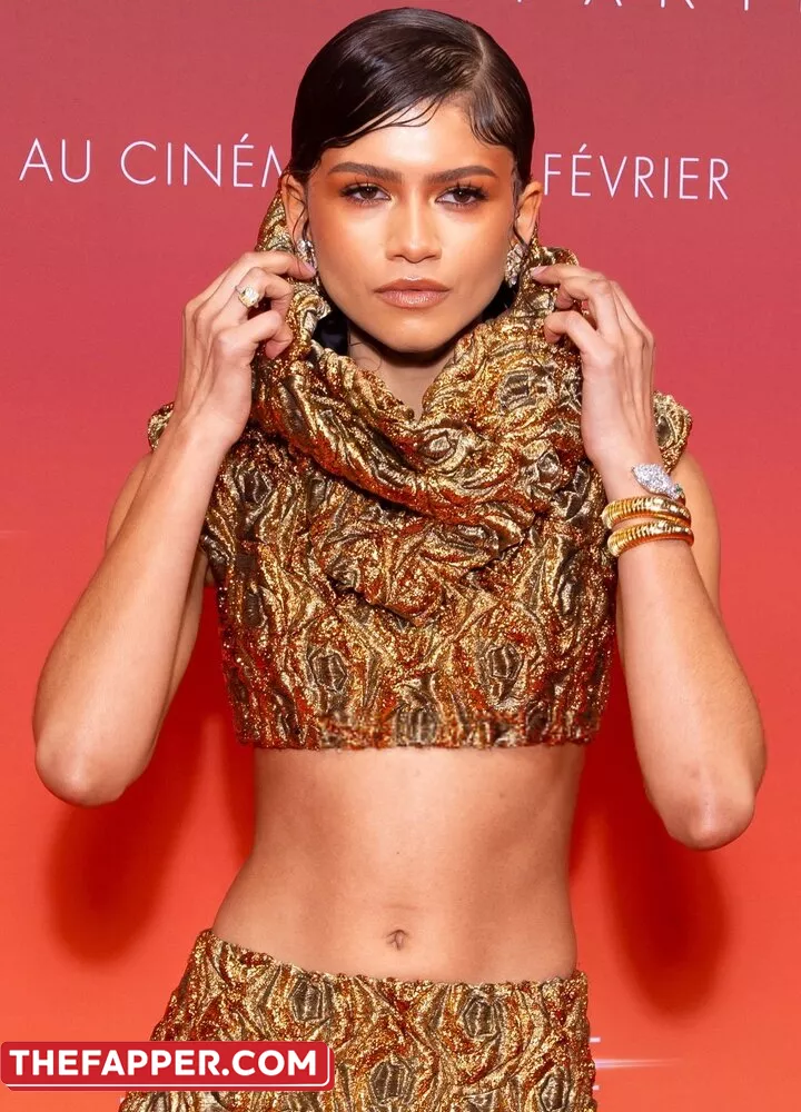 Zendaya  Onlyfans Leaked Nude Image #2WtO2kwYxS