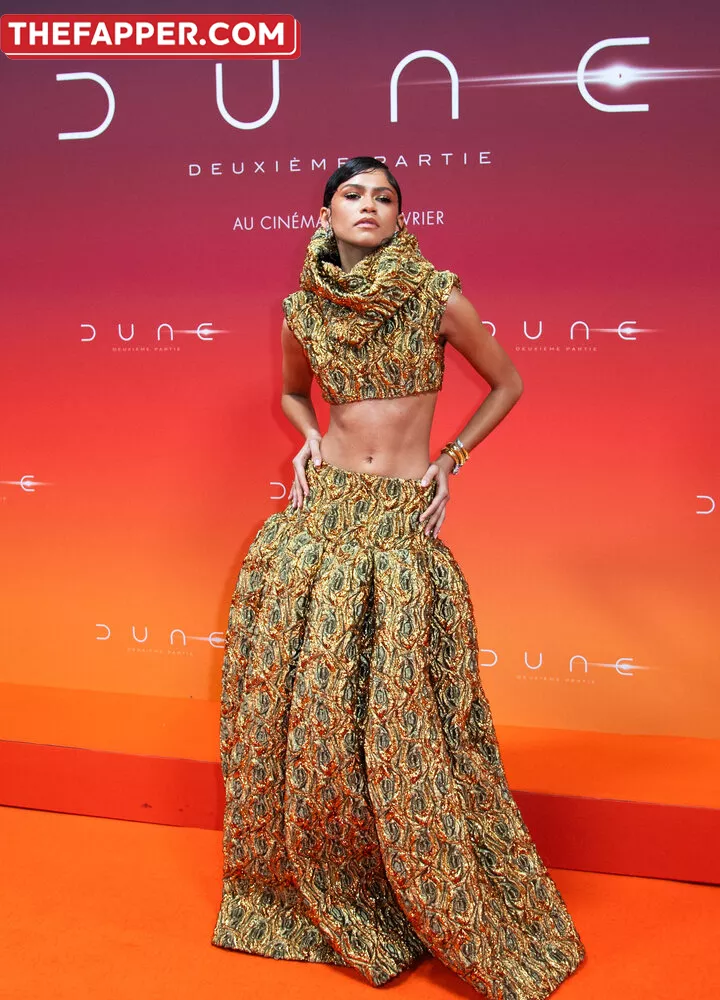 Zendaya  Onlyfans Leaked Nude Image #ORReibypuO