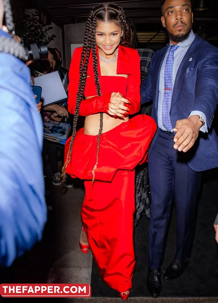 Zendaya  Onlyfans Leaked Nude Image #WRdTTaxLbG
