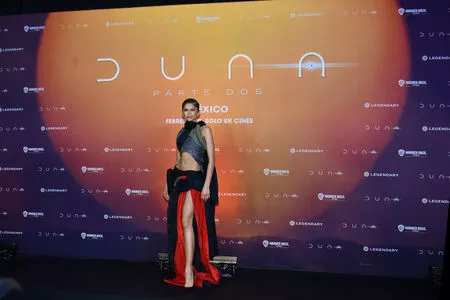 Zendaya Onlyfans Leaked Nude Image #hte0DJ2K91